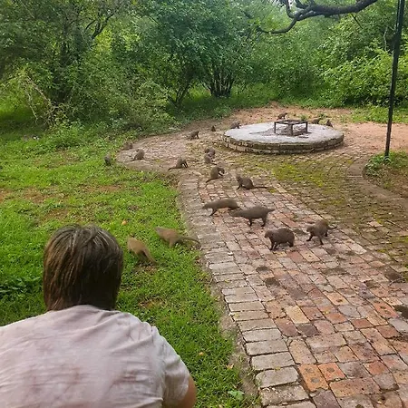 Adventure Bush House Villa Marloth Park Exterior photo