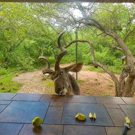 Adventure Bush House Villa Marloth Park Exterior photo