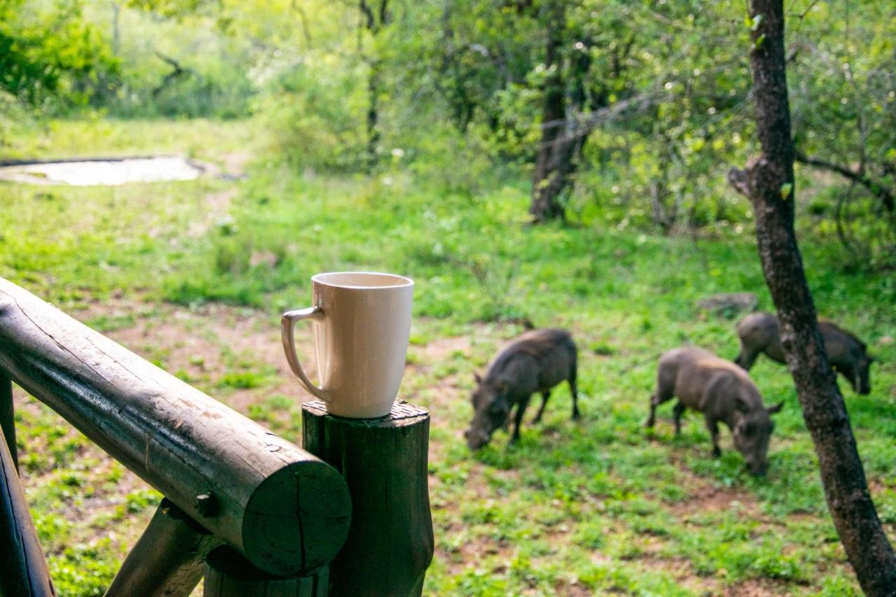 Holiday home Adventure Bush House Marloth Park