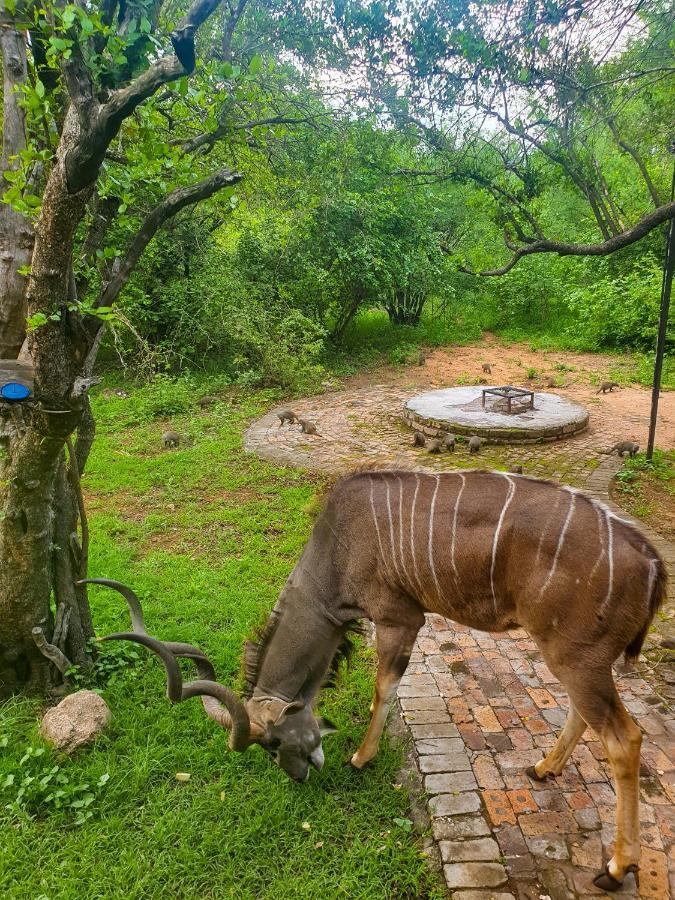 Adventure Bush House Holiday home Marloth Park