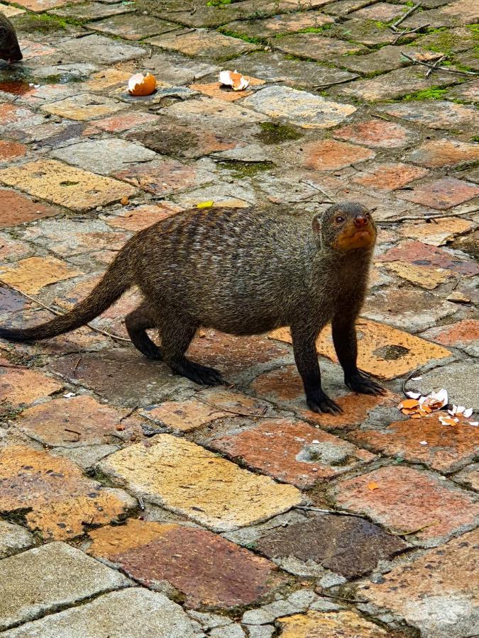 Adventure Bush House Marloth Park