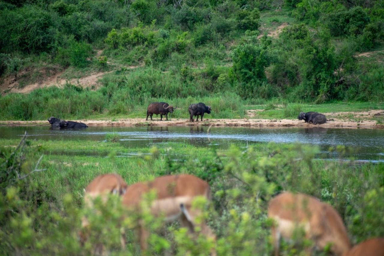 Adventure Bush House * Marloth Park