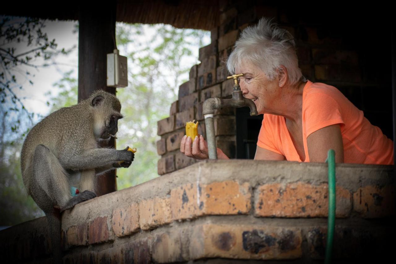 Adventure Bush House Holiday home Marloth Park